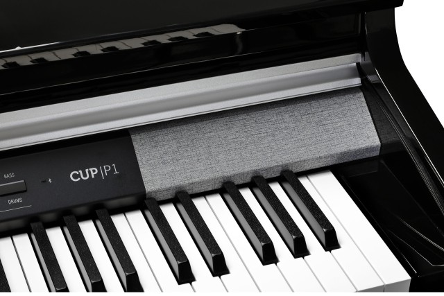 �������� ������� Kurzweil CUP P1 BP