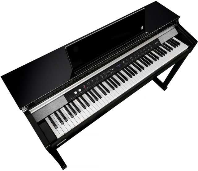 �������� ������� Kurzweil CUP P1 BP