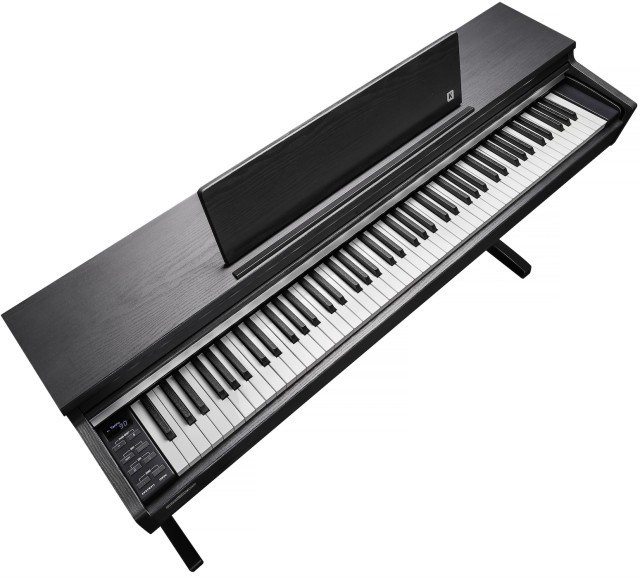 �������� ������� Kurzweil CUP M1 SR