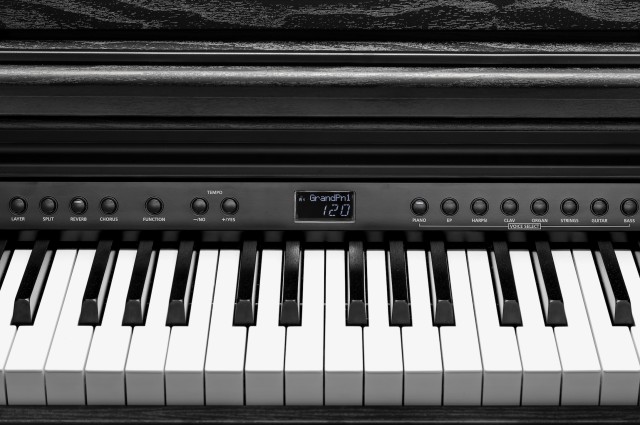 �������� ������� Kurzweil CUP E1 BK