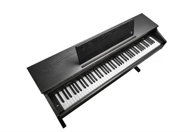 �������� ������� Kurzweil CUP E1 BK