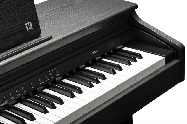 �������� ������� Kurzweil CUP E1 BK