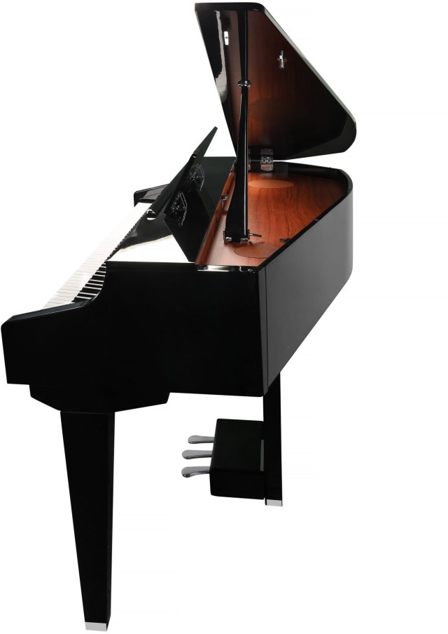 �������� ������� Kurzweil CUP G1 BP