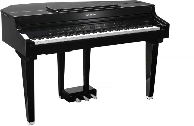 �������� ������� Kurzweil CUP G1 BP