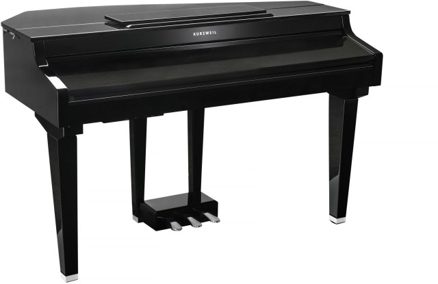 �������� ������� Kurzweil CUP G1 BP