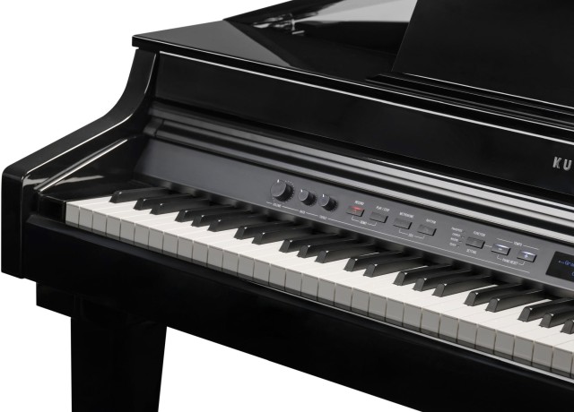 �������� ������� Kurzweil CUP G1 BP