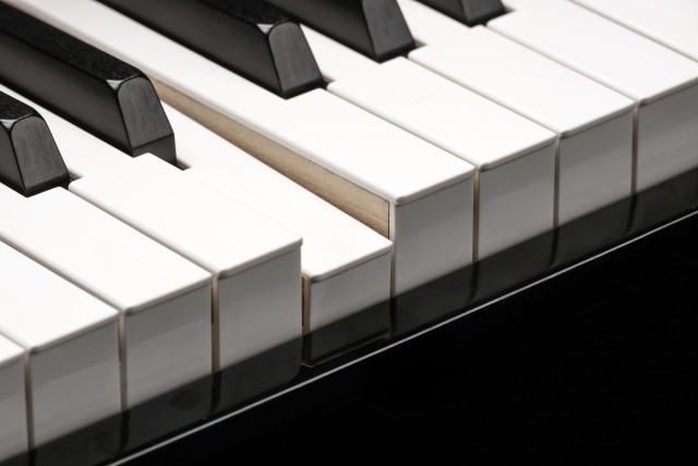 �������� ������� Kurzweil CUP G1 BP