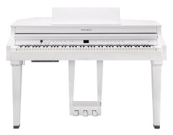 Kurzweil CUP G1 WHP