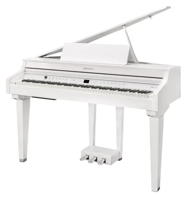 �������� ������� Kurzweil CUP G1 WHP