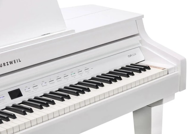 �������� ������� Kurzweil CUP G1 WHP