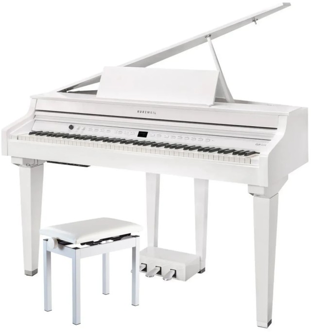 �������� ������� Kurzweil CUP G1 WHP