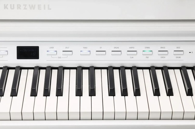�������� ������� Kurzweil CUP G1 WHP