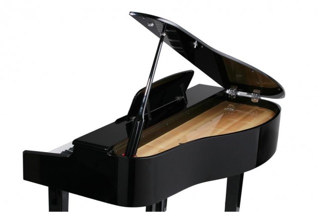 Kurzweil X-Pro MG EP