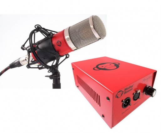 Monkey Banana Mangabey RED