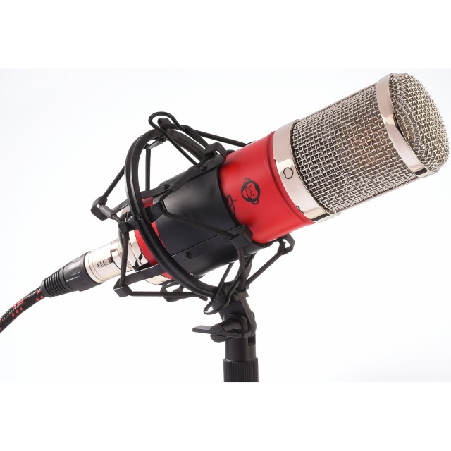 Monkey Banana Mangabey RED