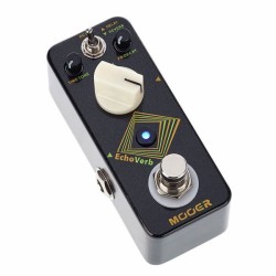 MOOER ECHOVERB