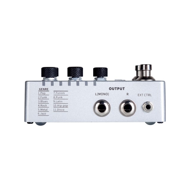 ������ ������ MOOER GROOVE LOOP X2