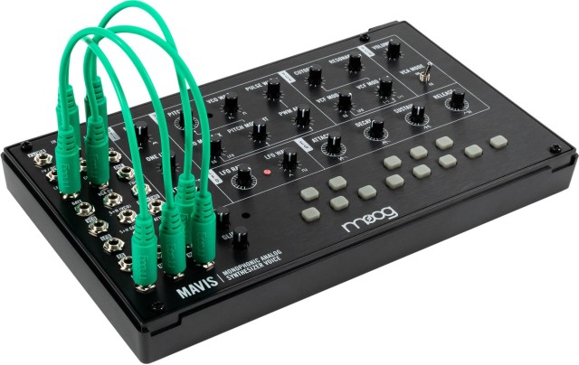 Moog Mavis
