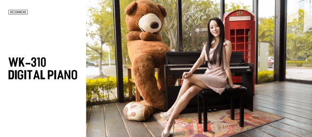 �������� ������� NUX WK-310B