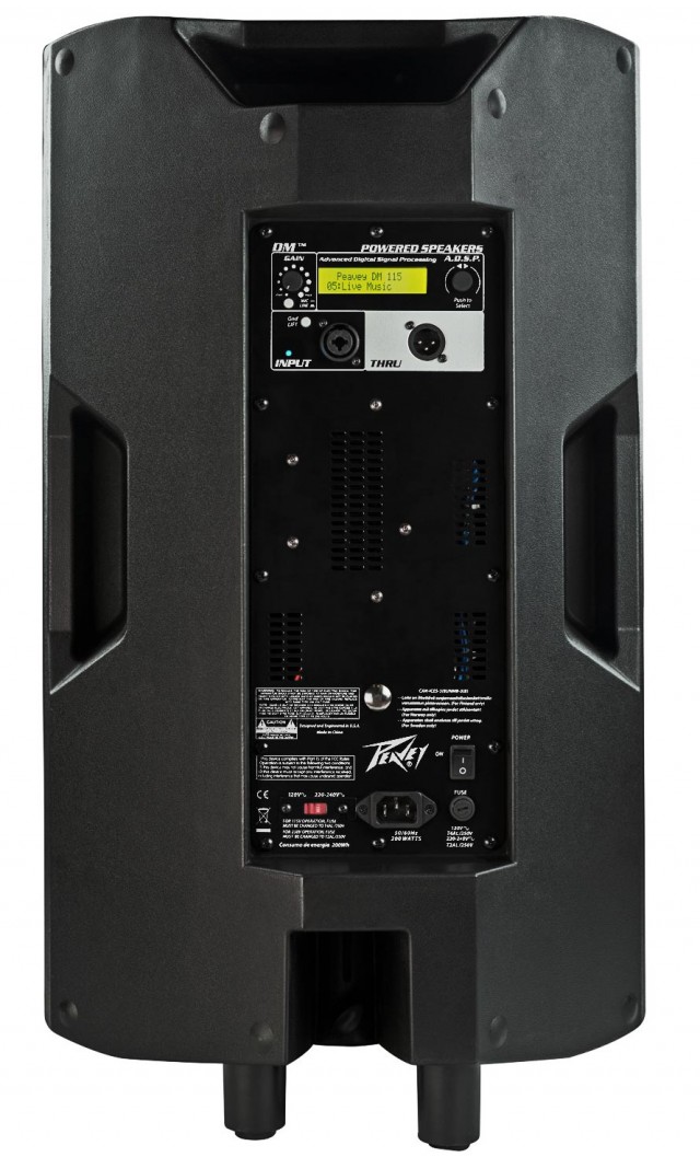 Peavey DM115