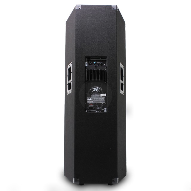 Peavey PV 215D