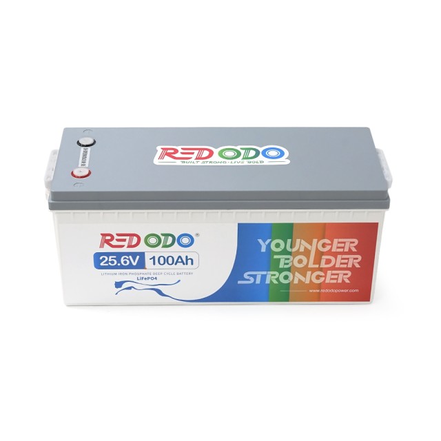 ���������� Redodo LiFePO4 24V 100Ah