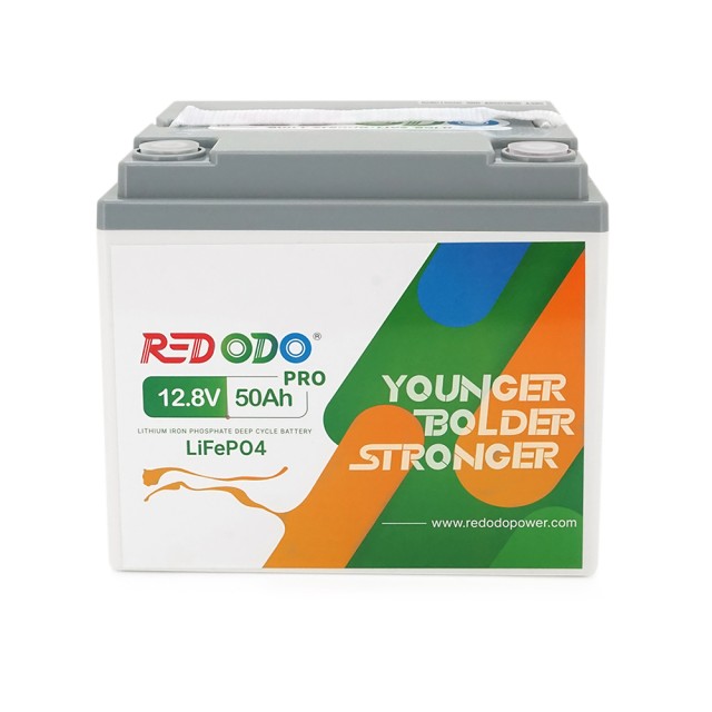 ���������� Redodo LiFePO4 12V 50Ah Pro