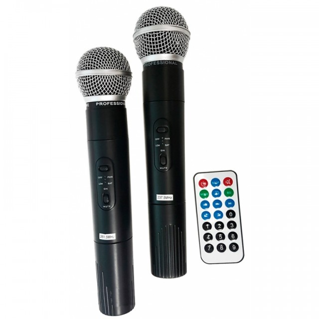 SoundKing A12T
