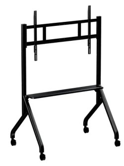 Triumph Display Stand