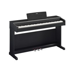 YAMAHA ARIUS YDP-145 (Black)