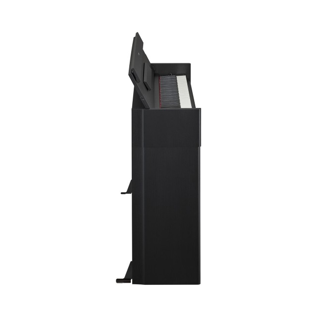 �������� ������� YAMAHA ARIUS YDP-S55 (Black)