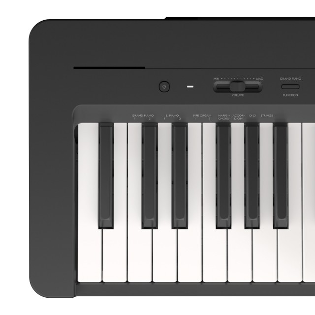 �������� ������� YAMAHA P-145